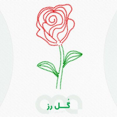 محصول گل رز الفا نیرو