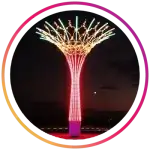 آلفانیرو اینستاگرام استوری درخت نوری جدید